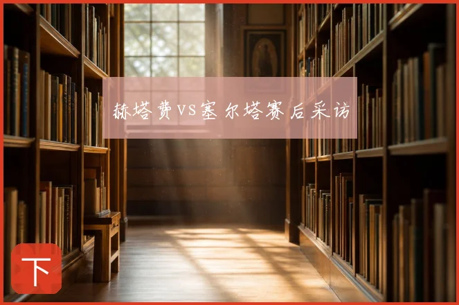 赫塔费vs塞尔塔赛后采访
